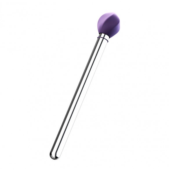 MizzZee - Quetinn Vibrating Anal Wand (Support APP Mini Programs - Chargeable)